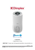 Dimplex BRAVA DXBRVAP5 Manual предпросмотр