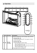 Preview for 17 page of Dimplex Revillusion RBF24DLX Owner'S Manual