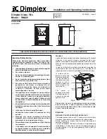 Preview for 2 page of Dimplex Siena Fire SNA20 Operating Instructions