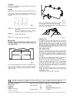 Preview for 3 page of Dimplex Siena Fire SNA20 Operating Instructions