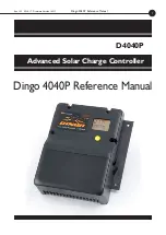 DINGO 4040P Reference Manual preview