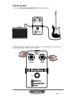 Предварительный просмотр 2 страницы DingoTone CSF Instructions For Use