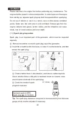 Предварительный просмотр 21 страницы DINKING DK3300i User Manual