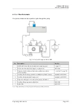 Предварительный просмотр 177 страницы Dionex UltiMate 3000 Series Operating Instructions Manual