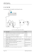 Предварительный просмотр 180 страницы Dionex UltiMate 3000 Series Operating Instructions Manual