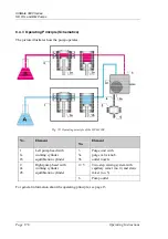 Предварительный просмотр 192 страницы Dionex UltiMate 3000 Series Operating Instructions Manual