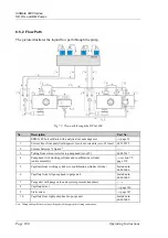 Предварительный просмотр 194 страницы Dionex UltiMate 3000 Series Operating Instructions Manual