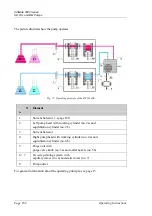 Предварительный просмотр 196 страницы Dionex UltiMate 3000 Series Operating Instructions Manual