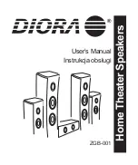 Diora ZGB-001 User Manual preview