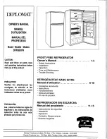 Diplomat DFF8801W Owner'S Manual preview