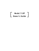 Directed Electronics Hornet 719T Owner'S Manual preview