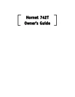 Directed Electronics Hornet 742T Owner'S Manual preview