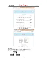 Preview for 15 page of DirekTronik 25-2572 Operating Instruction