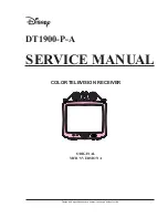 Disney DT1900-P-A Service Manual preview