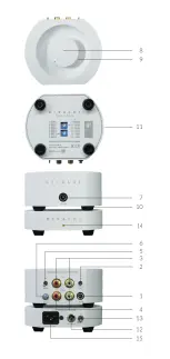 Предварительный просмотр 7 страницы DIVALDI AMP-02 Clear User Manual