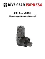 Предварительный просмотр 1 страницы Dive Gear Express DGX Gears XTRA Service Manual