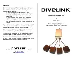 DIVELINK CHG-QC4 Operator'S Manual предпросмотр