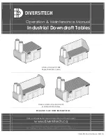 DIVERSITECH DD-3X4 Operation & Maintenance Manual предпросмотр