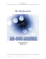 DIY Bassline ml-303 User Manual preview