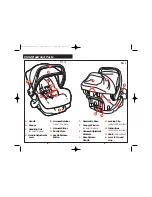 Preview for 6 page of DJG Deluxe Infant Instruction Manual