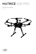 dji Matrice 600 Pro Quick Start Manual preview