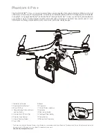 Preview for 71 page of dji PHANTOM 4 PRO User Manual