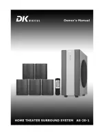 Предварительный просмотр 1 страницы DK Digital AS-20-1 Owner'S Manual