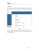 Preview for 9 page of DKT Comega High-power Fiber Amplifier Operation Manual