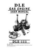 DLE DLE-111 User Manual preview