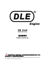 DLE DLE65 User Manual preview