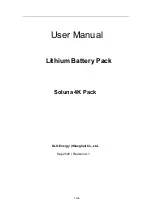 DLG Energy Soluna 4K Pack User Manual preview