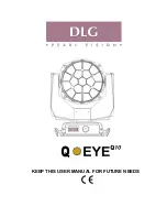 DLG Peal Vision Q-EYE Q10 User Manual preview