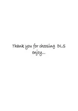 Preview for 19 page of DLS DD Series Owner'S Manual