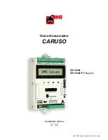 DMG CARUSO Installation Notice preview