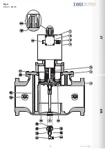 Preview for 25 page of DMS DN 100 Manual