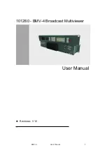 DMT BMV-4 User Manual preview