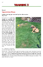 Preview for 22 page of Dog Guard DG-9XT Customer'S Manual