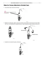 Предварительный просмотр 5 страницы DOGA DPTS-30 Instruction Manual