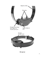 Preview for 10 page of Dogtra ARC 1200S Owner'S Manual