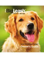 DogWatch BigLeash V-10 Owner'S Manual preview