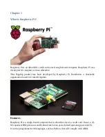 Preview for 6 page of Dogwood Apps Rasberry PI User Manual