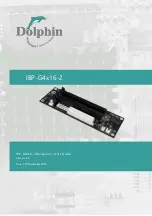 Dolphin IBP-G4x16-2 User Manual preview