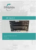 Preview for 1 page of Dolphin IBP-G4x16-3 User Manual