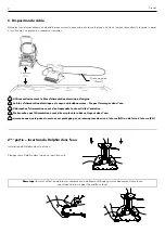 Preview for 12 page of Dolphin Supreme M4 User Instruction