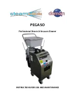 Doman PEGASO Instructions For Use And Maintenance Manual предпросмотр