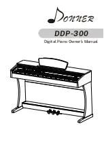 Donner DDP-300 Owner'S Manual предпросмотр