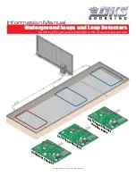 Preview for 1 page of DoorKing 9409 Dual Channel Information Manual