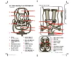 Предварительный просмотр 4 страницы Dorel Juvenile Group Alpha Omega Elite 65 Manual