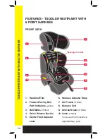 Preview for 14 page of Dorel Juvenile Group GM 2010 Instruction Manual