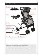 Preview for 4 page of Dorel Juvenile Group TR184 User Manual